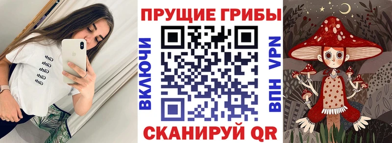 Псилоцибиновые грибы Magic Shrooms  магазин  наркотиков  Хвалынск 
